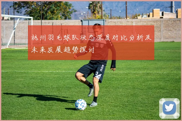 杭州羽毛球队状态深度对比分析及未来发展趋势探讨